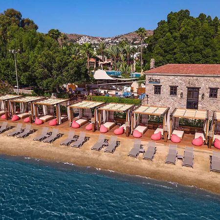 Divan Bodrum Palmira Golturkbuku Exteriör bild